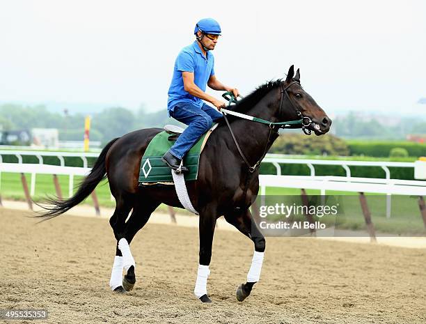 Matuszak with exercise rider Jose Canallas up, trains on the main track at Belmont Park on June 4, 2014 in Elmont, New York He is scheduled to race...