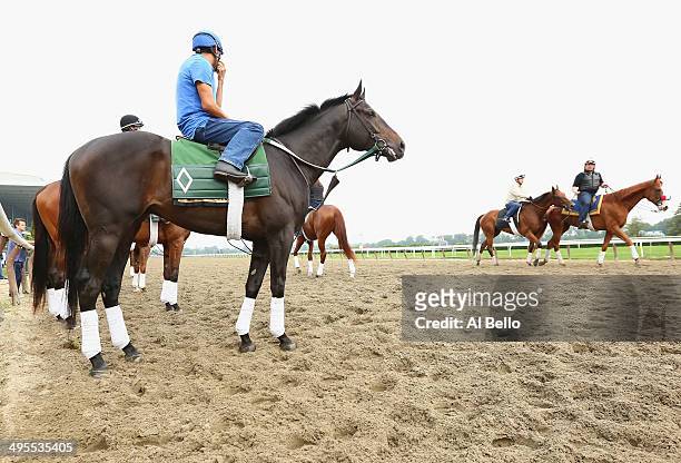 Matuszak with exercise rider Jose Canallas up, waits to train on the main track at Belmont Park on June 4, 2014 in Elmont, New York He is scheduled...