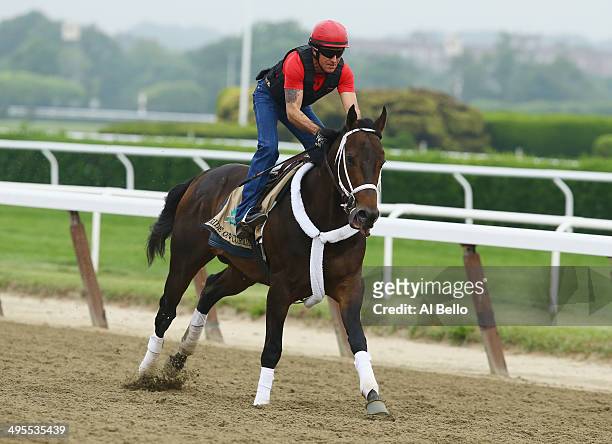 Ride On Curlin with exercise rider Bryan Baccia up, trains on the main track at Belmont Park on June 4, 2014 in Elmont, New York He is scheduled to...