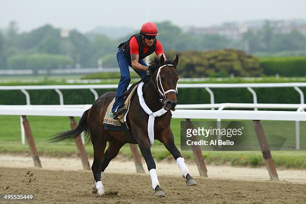 Ride On Curlin with exercise rider Bryan Baccia up, trains on the main track at Belmont Park on June 4, 2014 in Elmont, New York He is scheduled to...