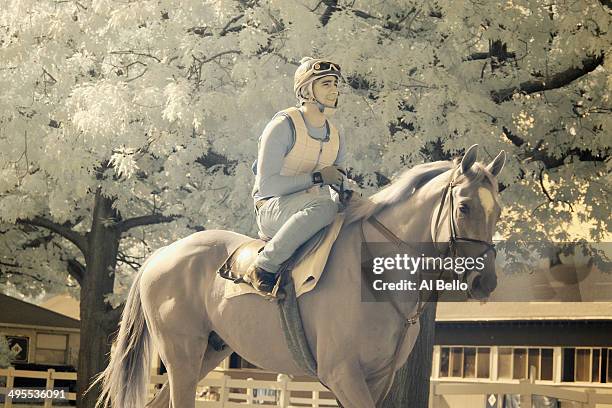 Horse and exercise rider head to the main track for morning training at Belmont Park on June 4, 2014 in Elmont, New York