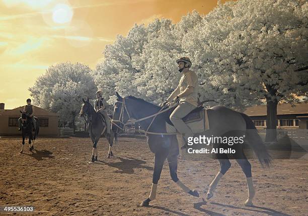 Horses and exercise riders head to the main track for morning training at Belmont Park on June 4, 2014 in Elmont, New York