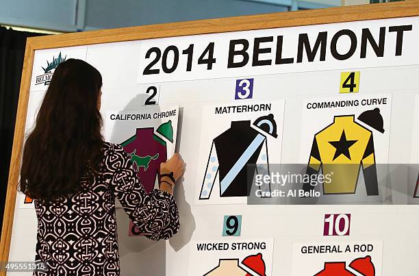 Kentucky Derby and Preakness winner California Chrome is placed at slot number two during the Belmont Stakes Draw at Belmont Park on June 4, 2014 in...
