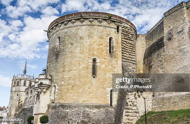 royal chateau de amboise - france - amboise stock pictures, royalty-free photos & images