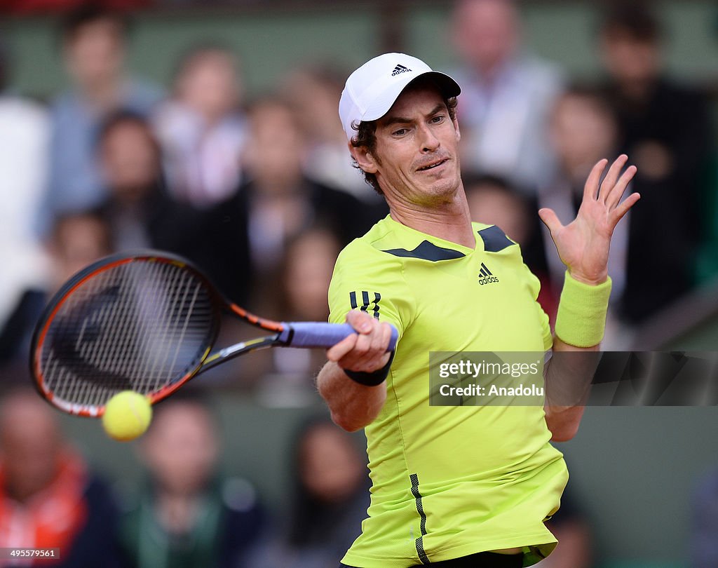 2014 French Open - quarterfinal
