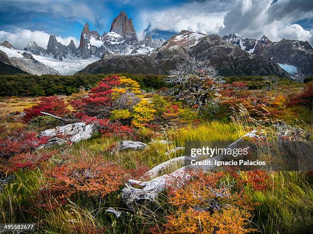 mt fitz roy in colorfull autumn vegetation - cordigliera delle ande foto e immagini stock