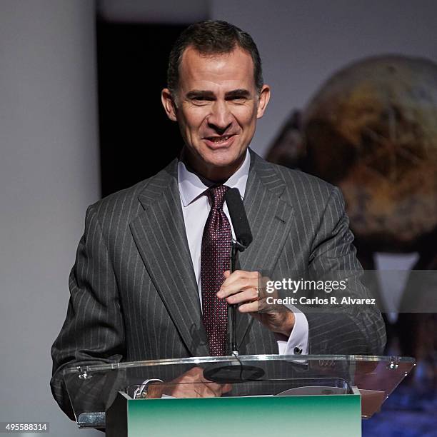 King Felipe VI of Spain attends the CEPYME 2015 Awards at the Reina Sofia Museum on November 4, 2015 in Madrid, Spain.