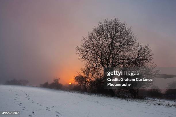 winter sunset. - hügelkette chiltern hills stock-fotos und bilder