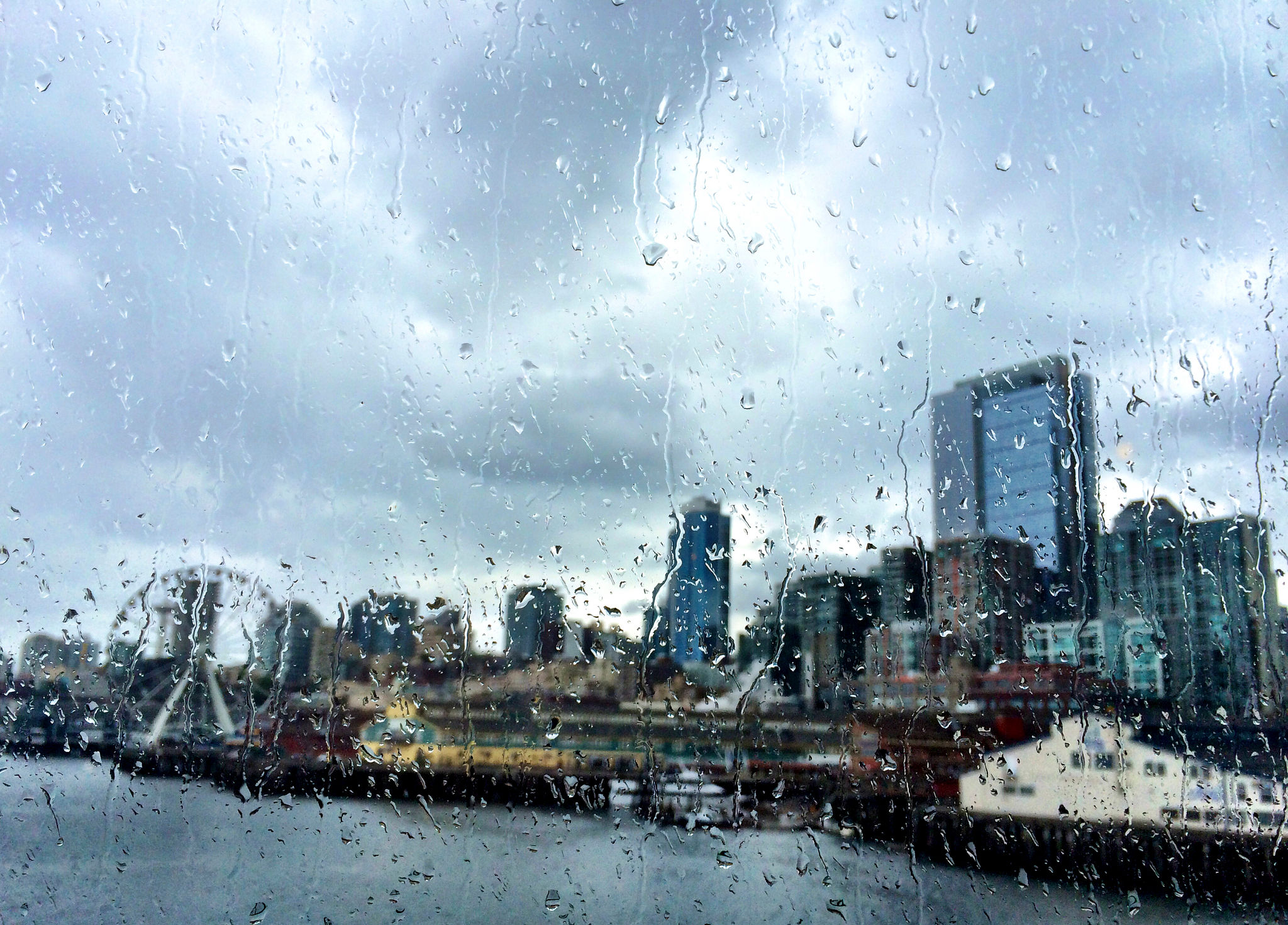 seattle rain