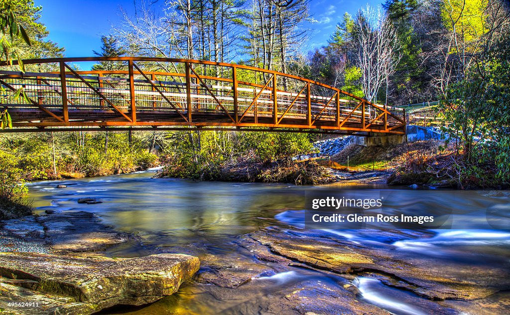 Dupont Forest Bridge.