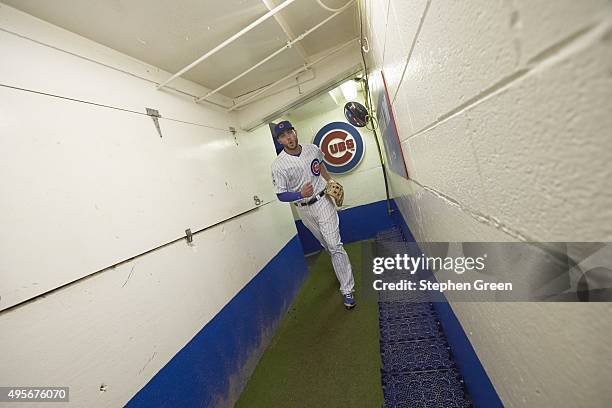 Playoffs: Chicago Cubs Kris Bryant jogging through runway on way to field before Game 3 vs St. Louis Cardinals at Wrigley Field. Chicago, IL CREDIT:...