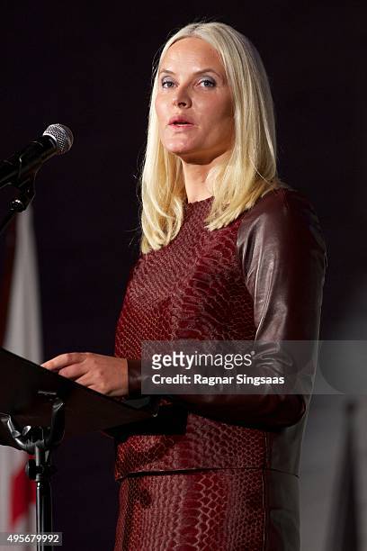 Crown Princess Mette-Marit of Norway attends The Celebration Of The 150th Anniversary of the Norwegian Red Cross on November 4, 2015 in Oslo, Norway.