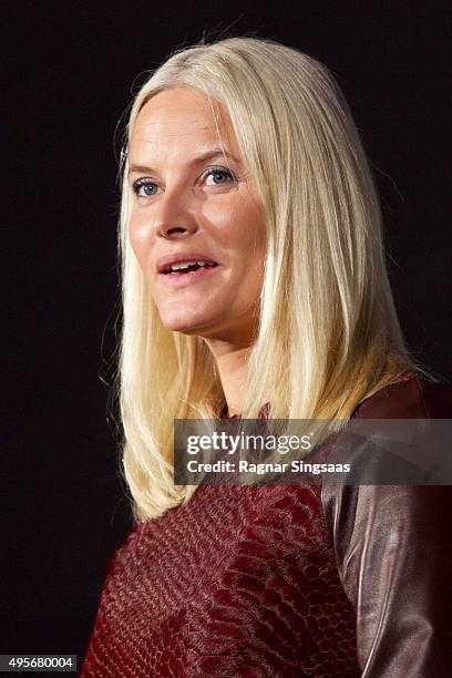 Crown Princess Mette-Marit of Norway attends The Celebration Of The 150th Anniversary of the Norwegian Red Cross on November 4, 2015 in Oslo, Norway.