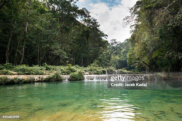 semuc champey waterfals - semuc champey stock pictures, royalty-free photos & images