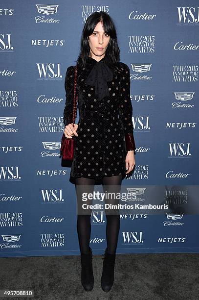 Model Jamie Bochert attends the WSJ. Magazine 2015 Innovator Awards at the Museum of Modern Art on November 4, 2015 in New York City.