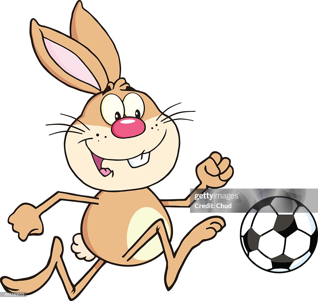 Cute Rabbit Playing Soccer High-Res Vector Graphic - Getty Images
