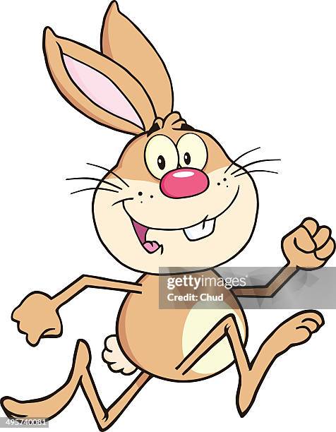 61 Rabbit Running On White Stock Photos, High-Res Pictures, and Images ...