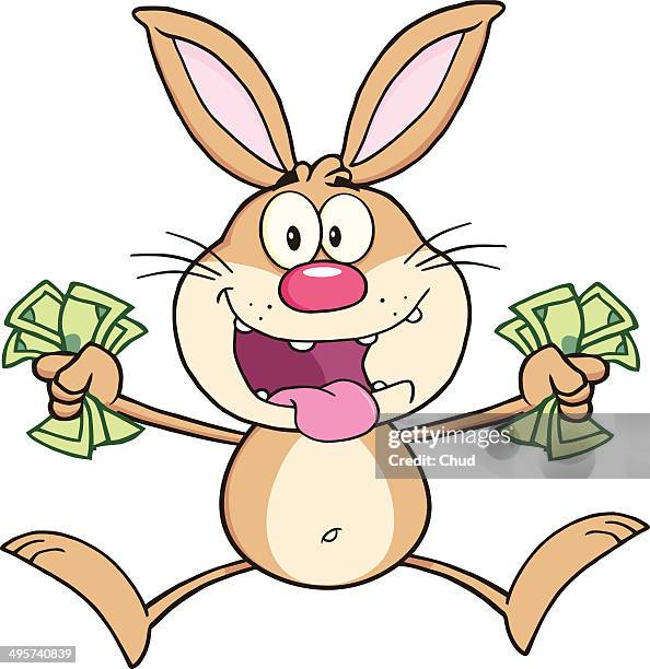 rich brown rabbit jumping with cash - rabbits studio stock illustrations