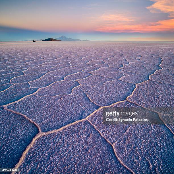 salar de uyuni hexagons at sunset - zout mineraal stockfoto's en -beelden