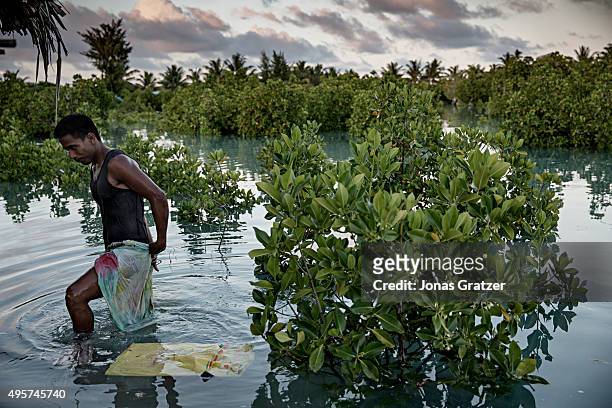 Man comes out of a mangrove swamp that has been submerged by flooded seawater. The people of Kiribati are under pressure to relocate due to sea level...