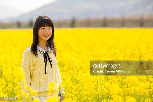 a teenage girl in a field of flowers - japan 12 years girl stock pictures, royalty-free photos & images