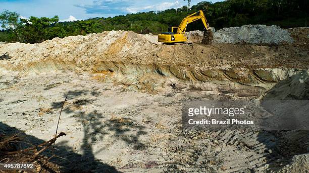 Amazon deforestation, remaining tree - starting of hydraulic gold mining operation process known as "chupadeira system" - use of heavy machinery for...