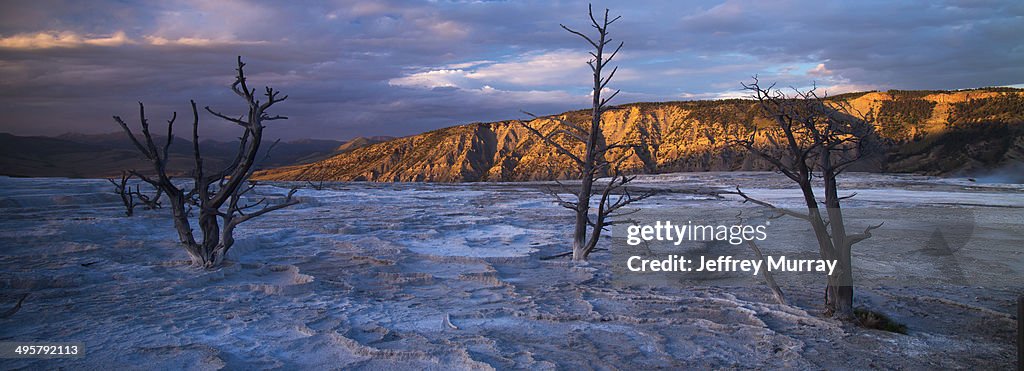 Mammoth Hot Springs is a large complex of hot springs on a hill of travertine in Yellowstone National Park.