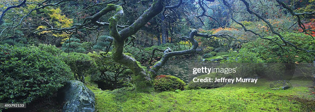 The tranquil Japanese Garden located in the west hills of the city of Portland, Oregon.