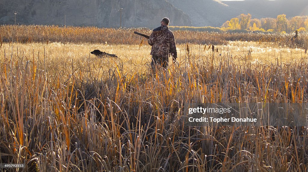 A duck hunter and his dog look for a fallen duck in tall grass.