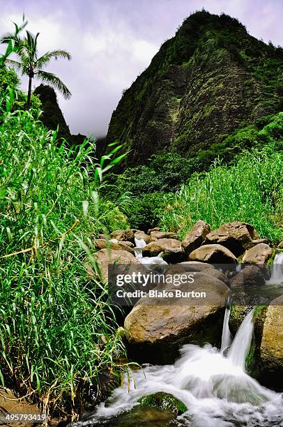 iao valley state park, maui - iao valley state park stock pictures, royalty-free photos & images