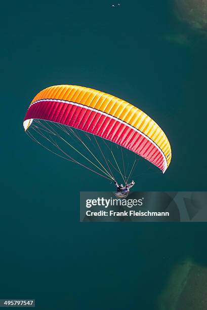 paragliding over lake maggiore, locarno, kanton tessin, switzerland - kanton tessin fotografías e imágenes de stock