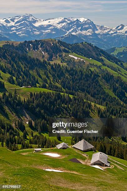 pre-alpine landscape with alpine cabins, the snow-capped bernese alps at the back, near ablandschen, saanen, canton of bern, switzerland - saanen stock pictures, royalty-free photos & images