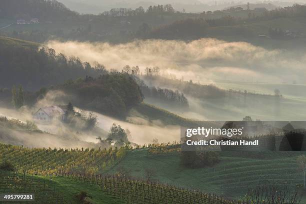 fog and farmhouses in the first morning light, ratsch an der weinstrasse, styria, austria - styria stock-fotos und bilder