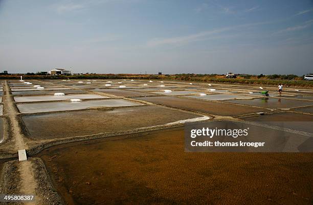 salt farm, noirmoutier-en-l?ile, ile de noirmoutier, pays de la loire, france - noirmoutier stockfoto's en -beelden