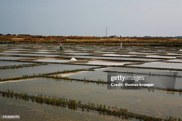 salt farm, noirmoutier-en-l?ile, ile de noirmoutier, pays de la loire, france - noirmoutier stock-fotos und bilder