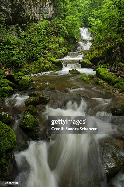 waterfall in twannbachschlucht gorge in the swiss jura mountains, biel, canton of solothurn, switzerland - briel foto e immagini stock