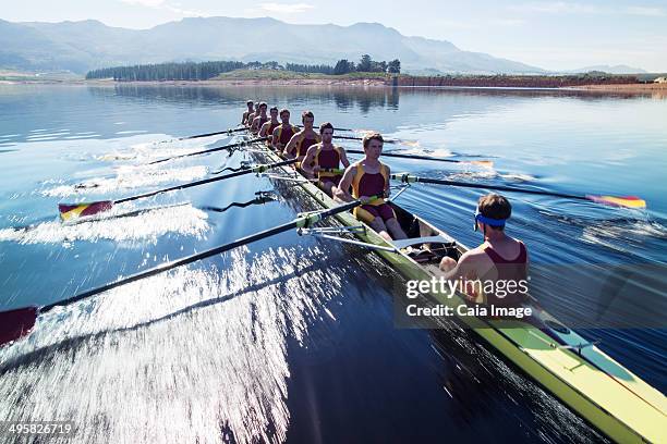 rowing team rowing scull on lake - sculling crew stock pictures, royalty-free photos & images