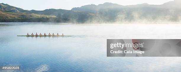 rowing team rowing scull on lake - sculling crew stock pictures, royalty-free photos & images