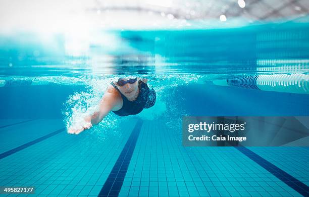 swimmer racing in pool - swimming free style pool stockfoto's en -beelden