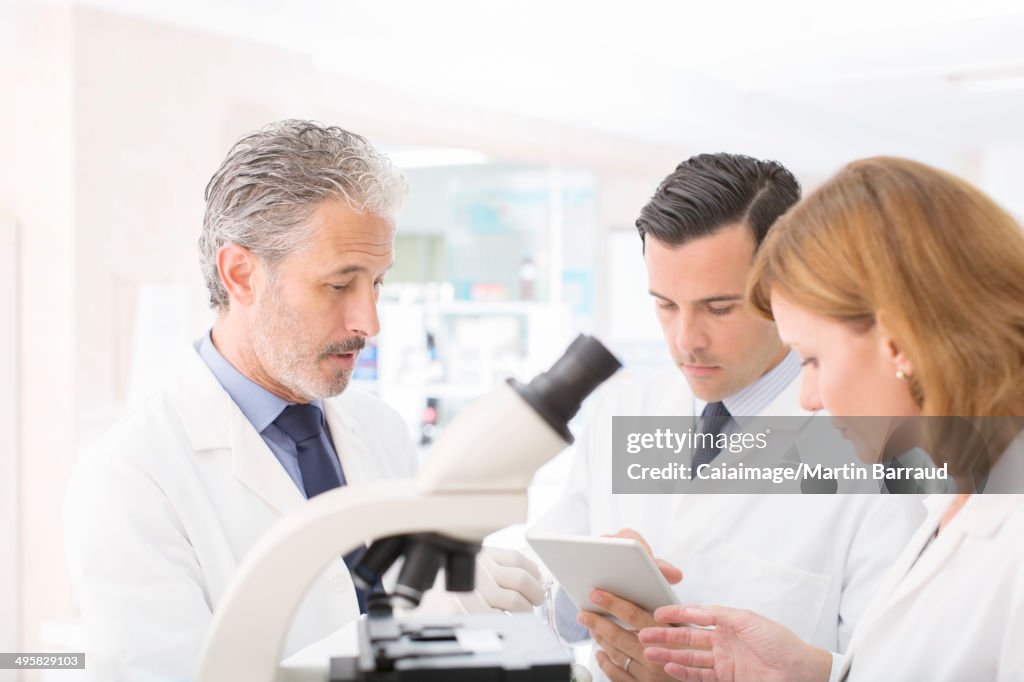 Scientists working in laboratory