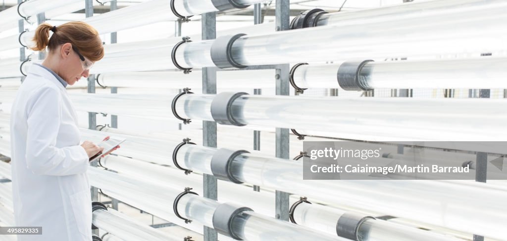 Scientist using digital tablet near irrigation pipes in greenhouse