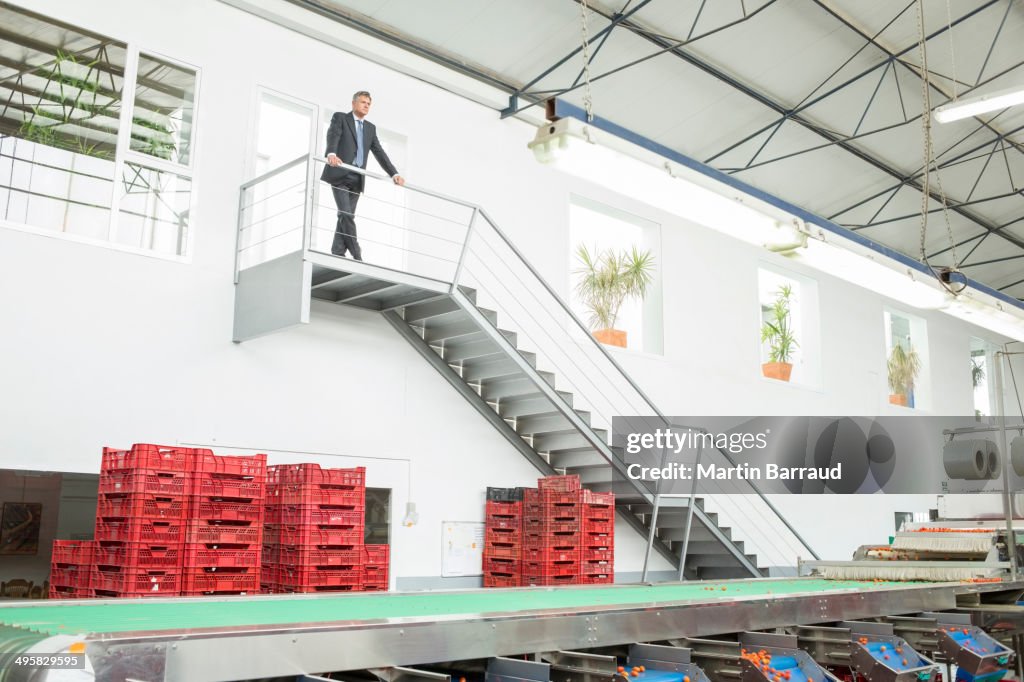 Supervisor standing on platform in food processing plant