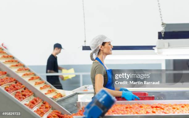 The Importance of Regular Maintenance for Your Food Packaging Machinery