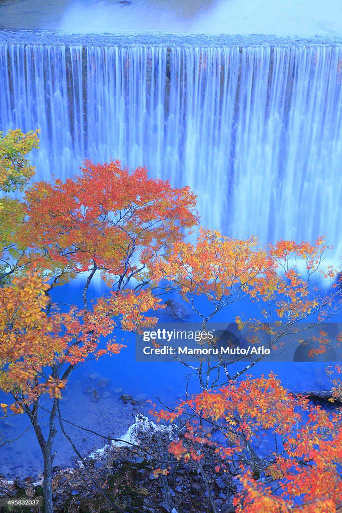 Waterfall and trees, Iwate Prefecture, Japan