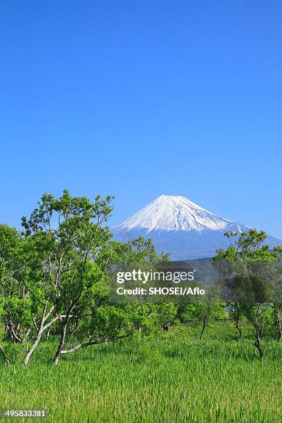 view of mount fuji, japan - nationaal park fuji hakone izu stockfoto's en -beelden