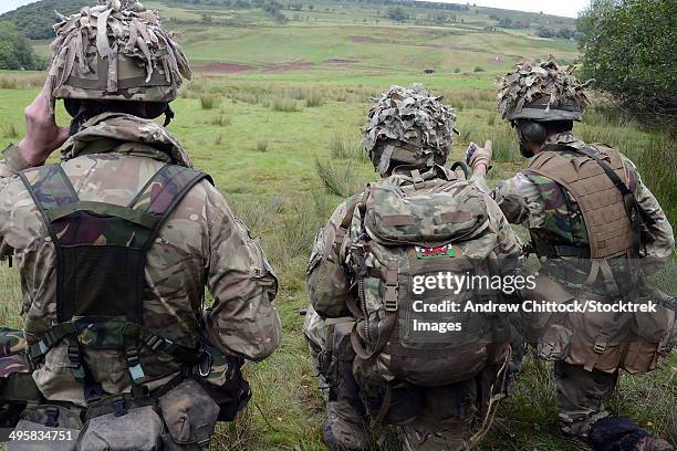 welsh guards training at the sennybridge training area, powys, wales, united kingdom. - infantry stock pictures, royalty-free photos & images