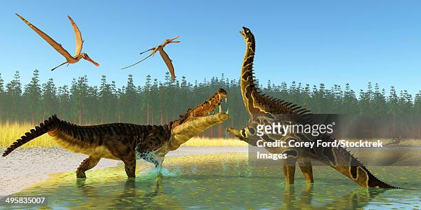 two anhanguera reptiles fly above as a kaprosuchus reptile confronts an agustinia dinosaur. - paläobiologie stock-grafiken, -clipart, -cartoons und -symbole