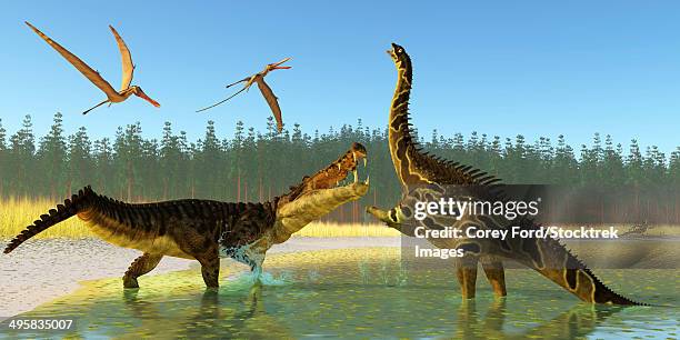 two anhanguera reptiles fly above as a kaprosuchus reptile confronts an agustinia dinosaur. - paleobiology stock illustrations