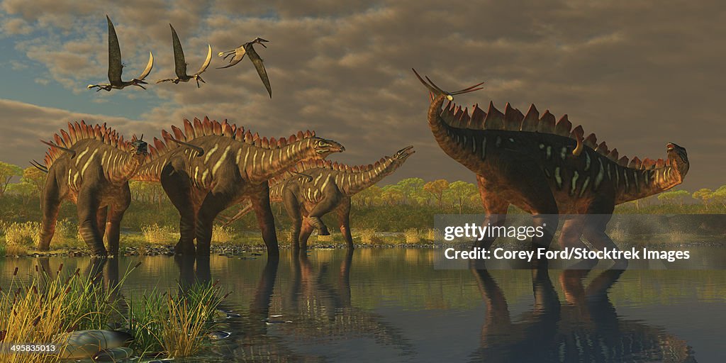 A Miragaia dinosaur bellows in protest as three others try to join him in the marsh. Three Dorygnathus pterosaurs fly overhead.