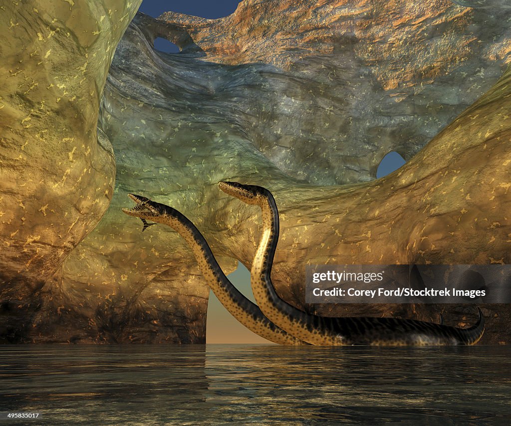 A Plesiosaurus captures a Eurhinosaurus marine reptile in a sea cave off the coast of Jurassic seas.